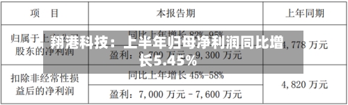 翔港科技：上半年归母净利润同比增长5.45%