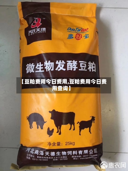 【豆粕费用今日费用,豆粕费用今日费用查询】-第2张图片