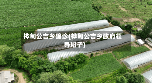 桦甸公吉乡确诊(桦甸公吉乡政府领导班子)