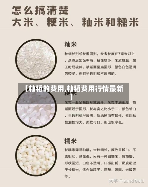 【籼稻的费用,籼稻费用行情最新】-第2张图片