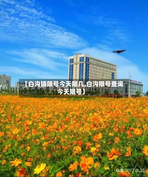 【白沟镇限号今天限几,白沟限号查询今天限号】-第2张图片
