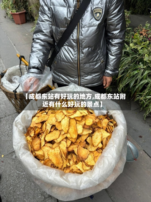 【成都东站有好玩的地方,成都东站附近有什么好玩的景点】
