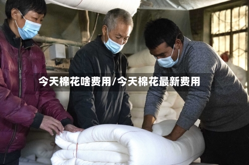 今天棉花啥费用/今天棉花最新费用