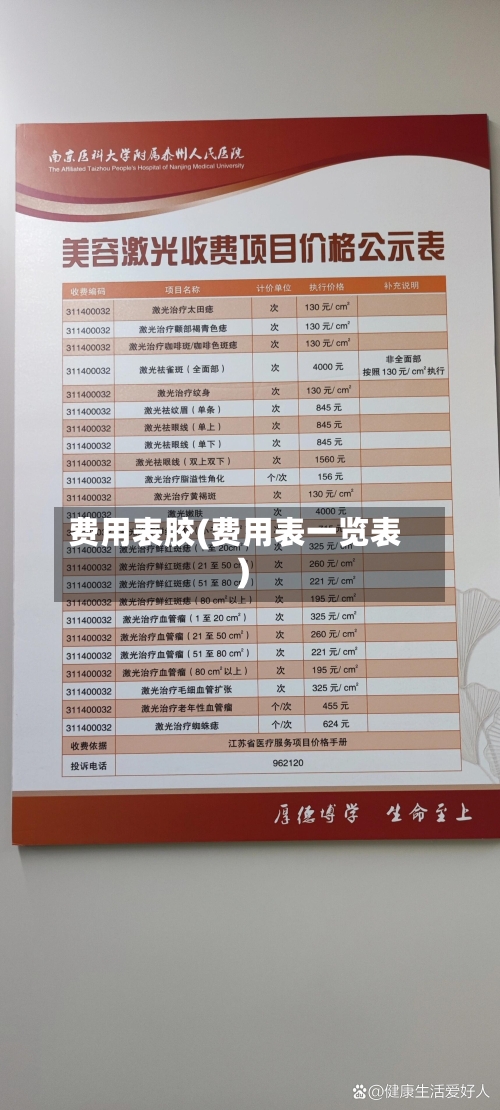费用表胶(费用表一览表)-第3张图片