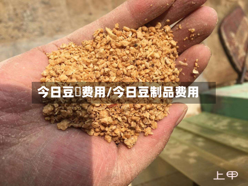 今日豆粨费用/今日豆制品费用