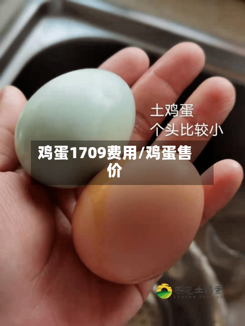 鸡蛋1709费用/鸡蛋售价