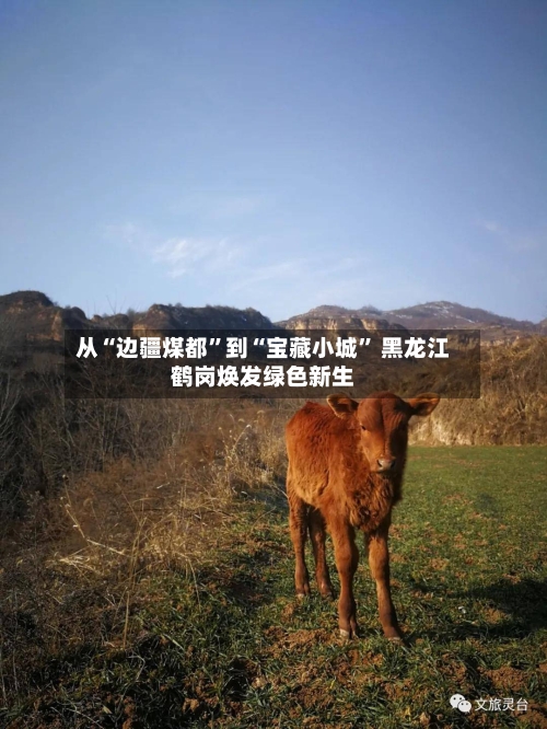 从“边疆煤都	”到“宝藏小城” 黑龙江鹤岗焕发绿色新生-第2张图片