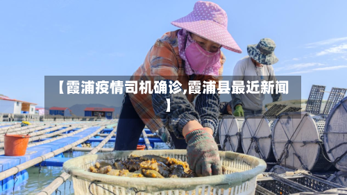【霞浦疫情司机确诊,霞浦县最近新闻】-第2张图片