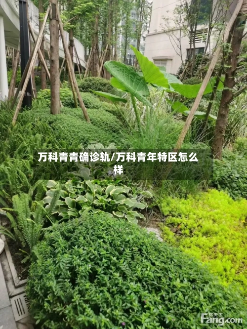 万科青青确诊轨/万科青年特区怎么样-第2张图片