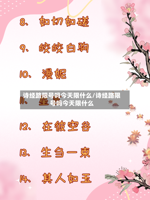 诗经路限号吗今天限什么/诗经路限号吗今天限什么-第2张图片