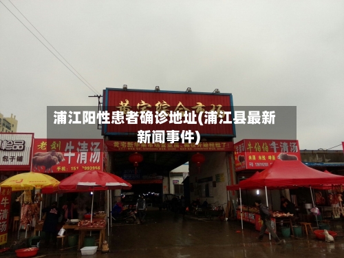 浦江阳性患者确诊地址(浦江县最新新闻事件)