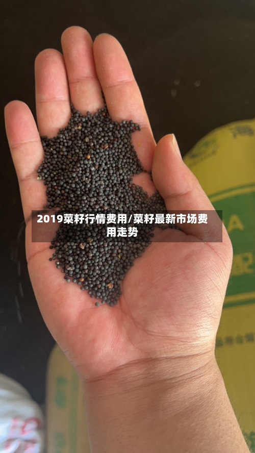 2019菜籽行情费用/菜籽最新市场费用走势-第3张图片