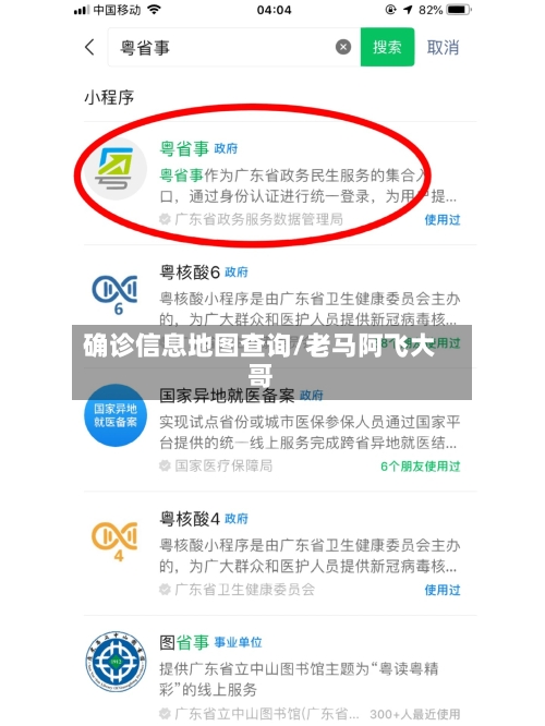 确诊信息地图查询/老马阿飞大哥