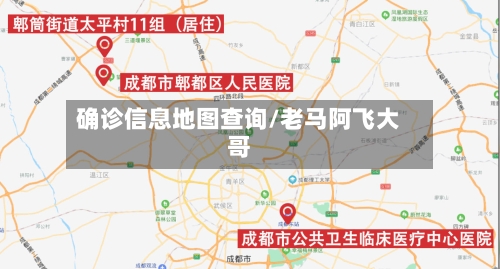 确诊信息地图查询/老马阿飞大哥-第3张图片