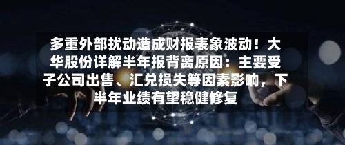 多重外部扰动造成财报表象波动！大华股份详解半年报背离原因：主要受子公司出售	、汇兑损失等因素影响，下半年业绩有望稳健修复-第1张图片