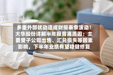 多重外部扰动造成财报表象波动！大华股份详解半年报背离原因：主要受子公司出售	、汇兑损失等因素影响，下半年业绩有望稳健修复-第2张图片