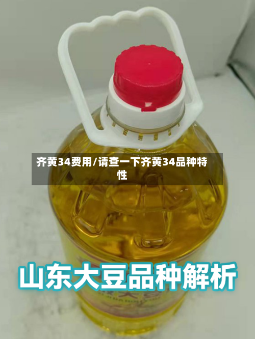 齐黄34费用/请查一下齐黄34品种特性