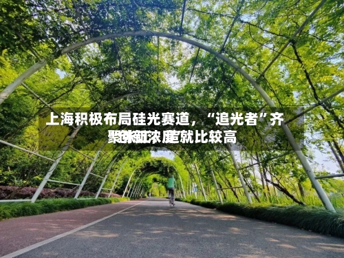 上海积极布局硅光赛道	，“追光者”齐聚张江，造就比较高“创新浓度	”-第2张图片