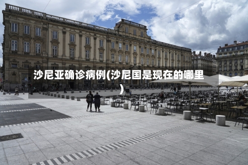 沙尼亚确诊病例(沙尼国是现在的哪里)
