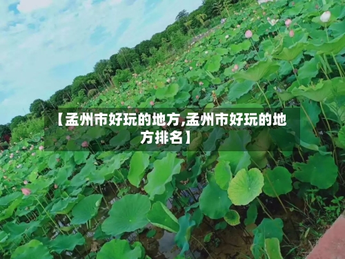 【孟州市好玩的地方,孟州市好玩的地方排名】-第2张图片