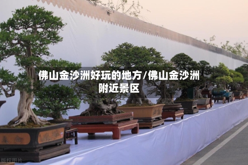 佛山金沙洲好玩的地方/佛山金沙洲附近景区