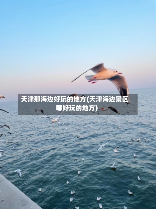 天津那海边好玩的地方(天津海边景区哪好玩的地方)-第2张图片