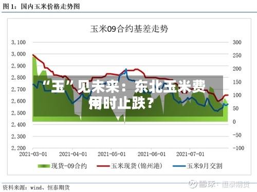 “玉”见未来：东北玉米费用何时止跌？-第1张图片