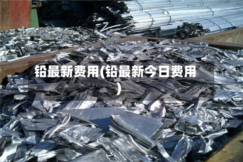 铅最新费用(铅最新今日费用)-第3张图片