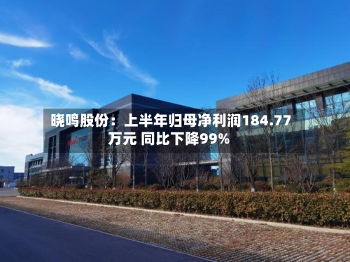 晓鸣股份：上半年归母净利润184.77万元 同比下降99%-第1张图片