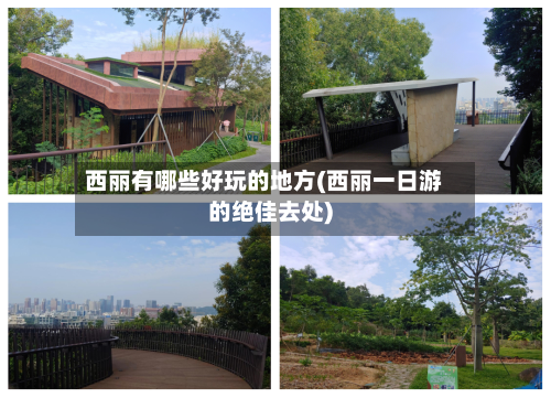 西丽有哪些好玩的地方(西丽一日游的绝佳去处)
