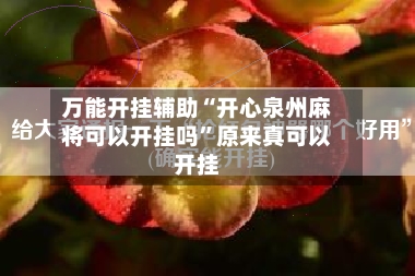 万能开挂辅助“开心泉州麻将可以开挂吗	”原来真可以开挂-第2张图片