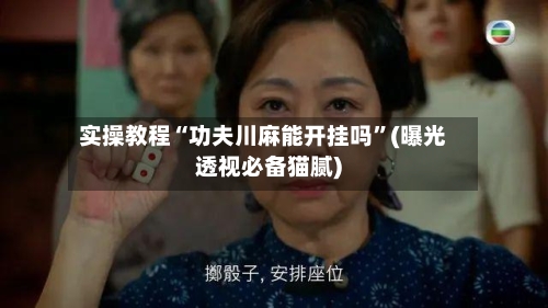 实操教程“功夫川麻能开挂吗”(曝光透视必备猫腻)-第2张图片