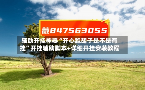 辅助开挂神器“开心跑胡子是不是有挂”开挂辅助脚本+详细开挂安装教程-第2张图片