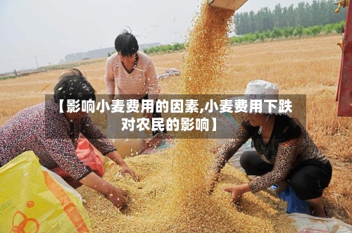 【影响小麦费用的因素,小麦费用下跌对农民的影响】