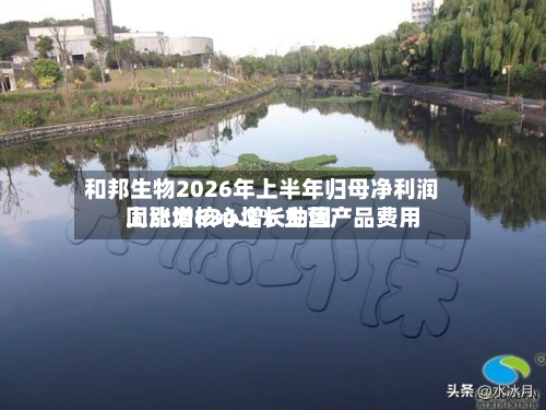 和邦生物2026年上半年归母净利润同比增634.3% 主营产品费用上涨为核心增长动因-第3张图片