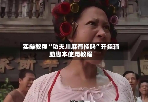 实操教程“功夫川麻有挂吗	”开挂辅助脚本使用教程-第2张图片