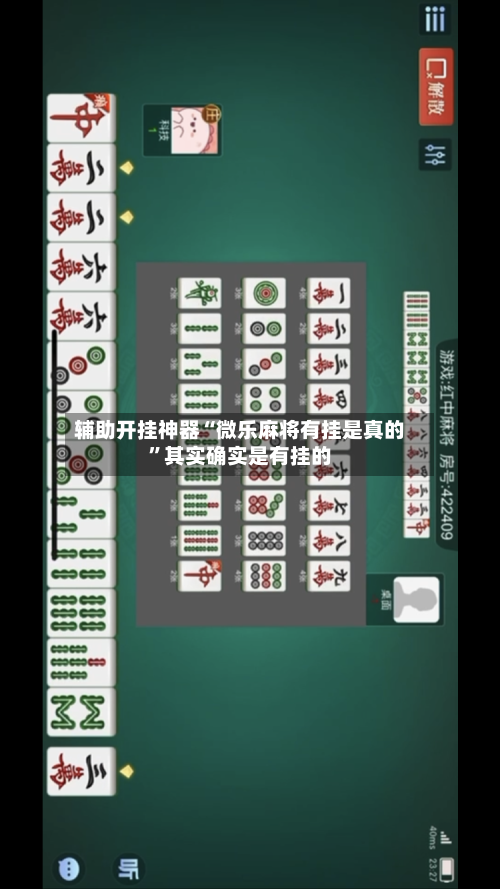 辅助开挂神器“微乐麻将有挂是真的”其实确实是有挂的-第1张图片