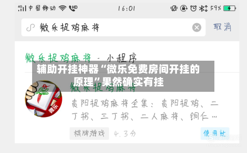 辅助开挂神器“微乐免费房间开挂的原理	”果然确实有挂-第2张图片