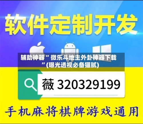辅助神器“ 微乐斗地主外卦神器下载”(曝光透视必备猫腻)-第3张图片