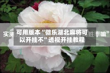 可用版本“微乐湖北麻将可以开挂不	”透视开挂教程-第2张图片