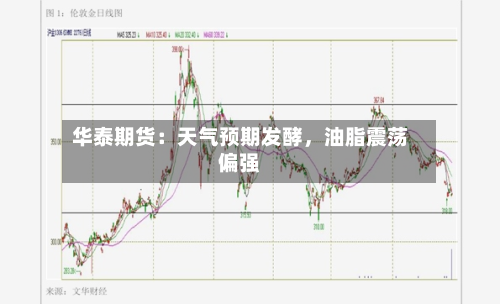 华泰期货：天气预期发酵，油脂震荡偏强-第2张图片