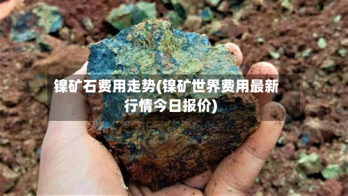镍矿石费用走势(镍矿世界费用最新行情今日报价)