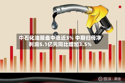 中石化油服盘中涨近3% 中期归母净利润5.1亿元同比增加3.5%-第2张图片