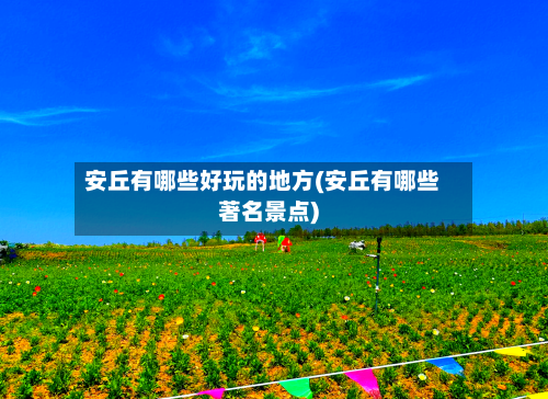 安丘有哪些好玩的地方(安丘有哪些著名景点)