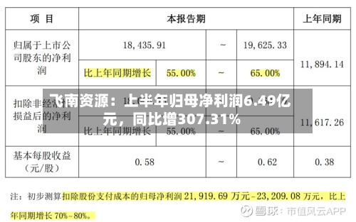 飞南资源：上半年归母净利润6.49亿元，同比增307.31%-第2张图片