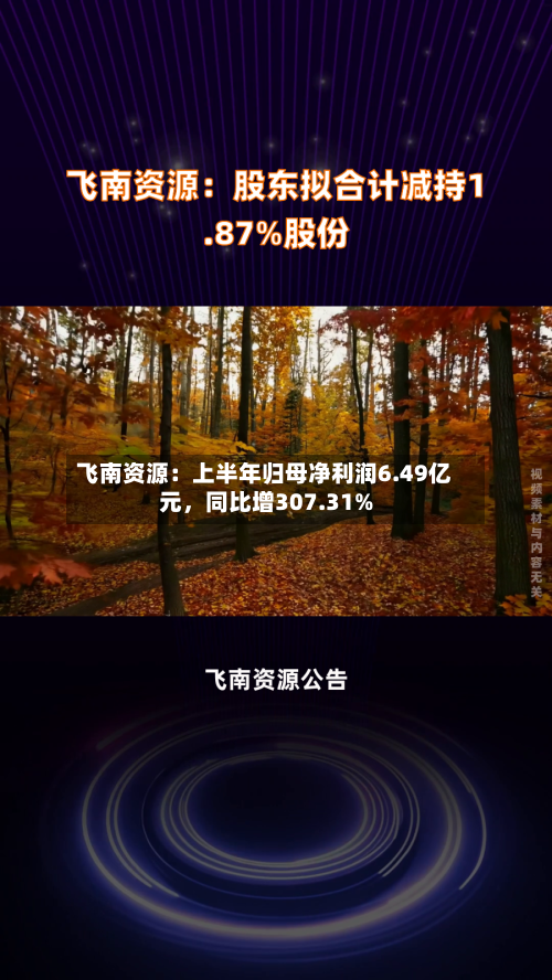 飞南资源：上半年归母净利润6.49亿元，同比增307.31%