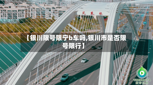 【银川限号限宁b车吗,银川市是否限号限行】-第2张图片