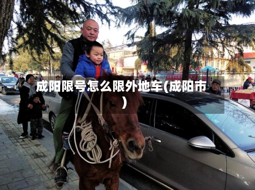 成阳限号怎么限外地车(成阳市)