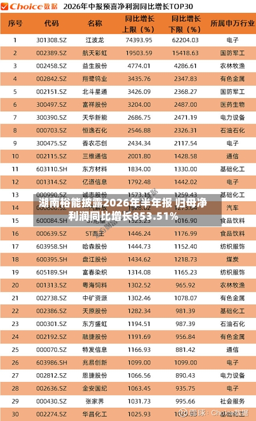 湖南裕能披露2026年半年报 归母净利润同比增长853.51%-第1张图片