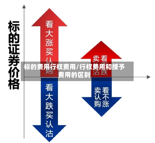标的费用行权费用/行权费用和授予费用的区别-第2张图片